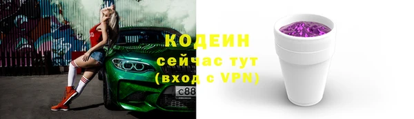шишки Вяземский