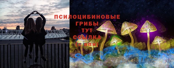 первитин Вязьма