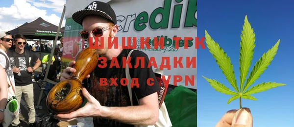 шишки Вяземский